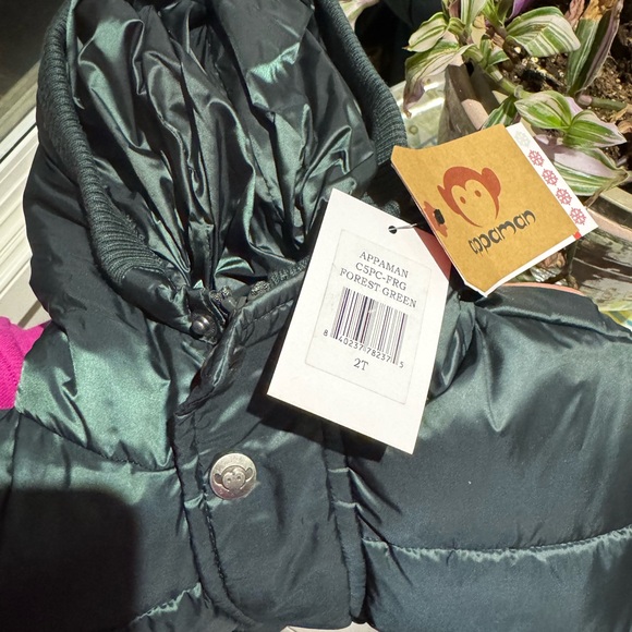 Brand new appaman coat size 2
Forest green
Ordered wrong size - Picture 2 of 5